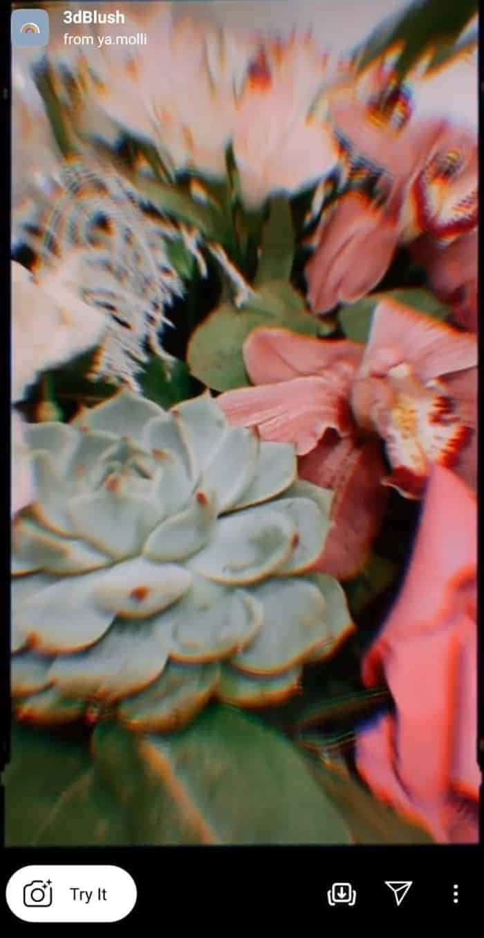 3D Blush
