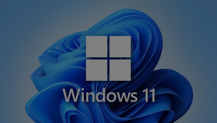 How to Install Google Play Store on Windows 11