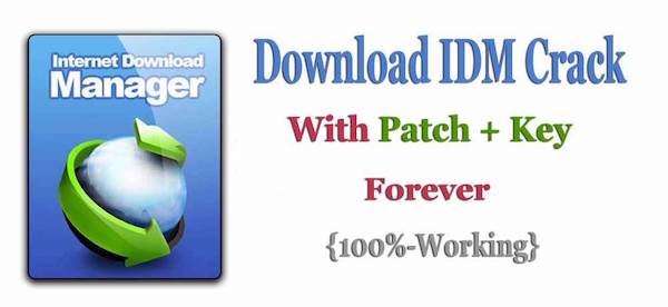 Reasons for IDM License Required