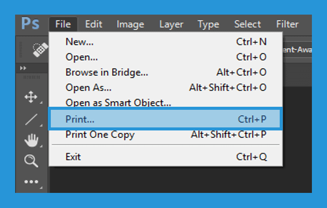 Select the Print Menu