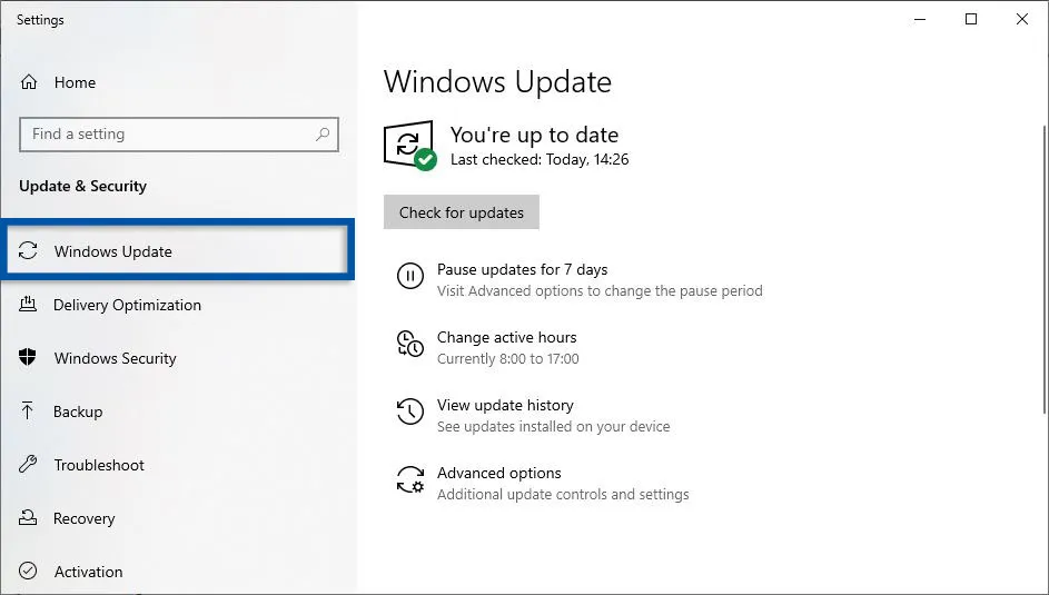 Run Windows Update