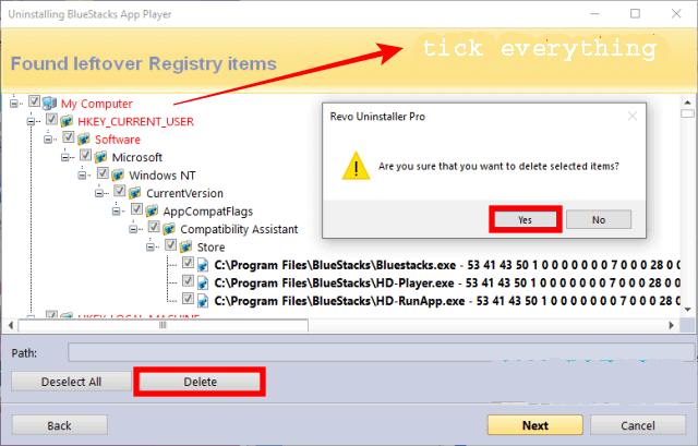 Using RevoUninstaller