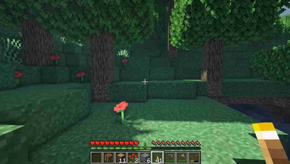 Minecraft