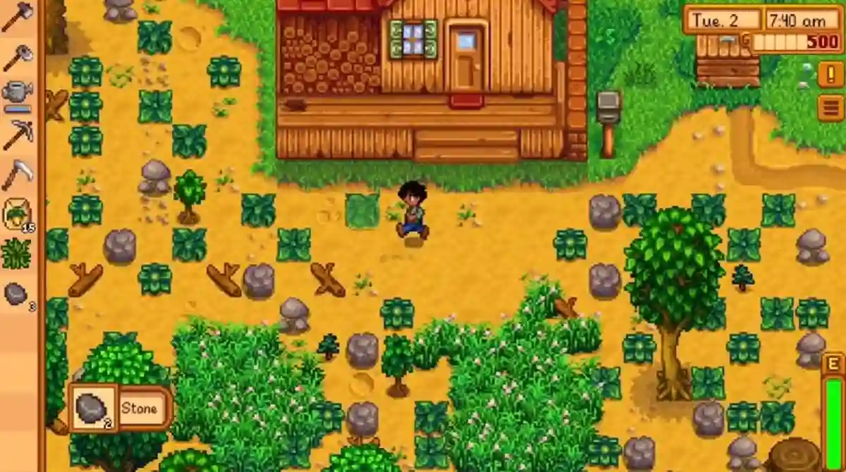 Stardew Valley