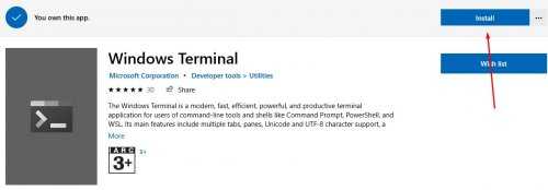 Install WindowsTerminal